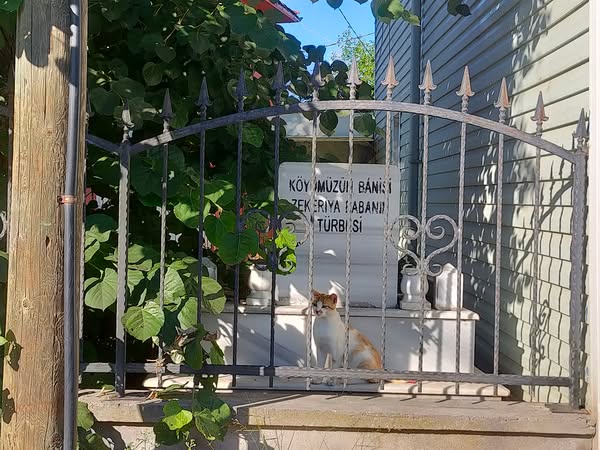 Zekeriya-baba-türbesi